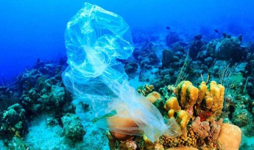 Global Tourism Plastics Initiative Announces Third Round of Signatories